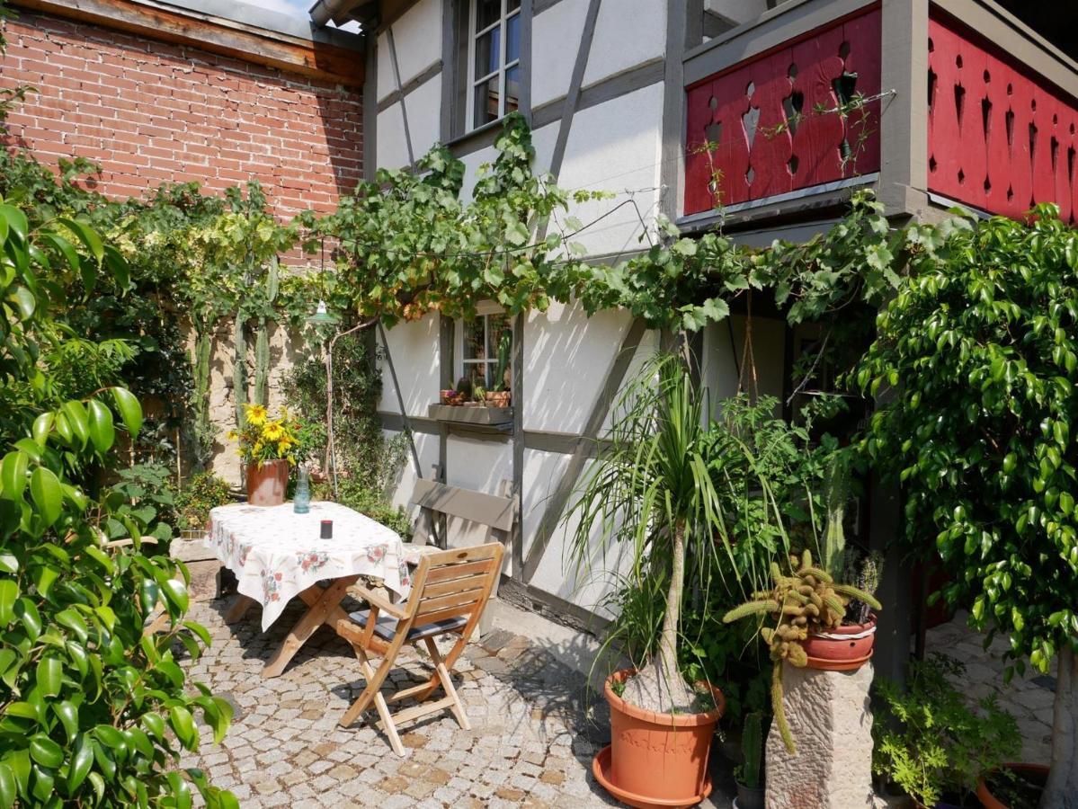 Bachmanns Witwe * Naumburg (Saale)