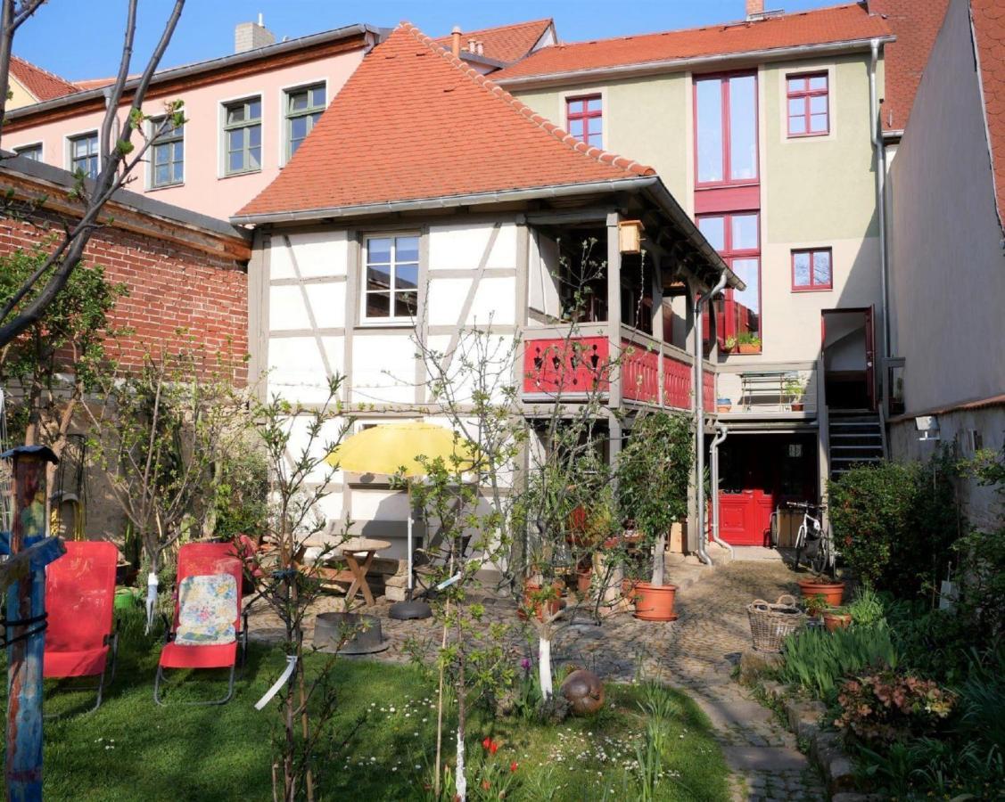 Bachmanns Witwe * Naumburg (Saale)